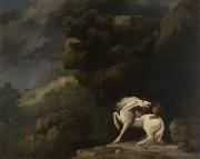 George Stubbs A Lion Attacking a Horse USA oil painting artist